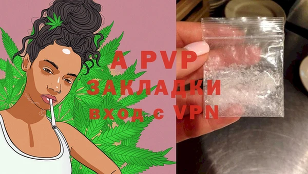 ПСИЛОЦИБИНОВЫЕ ГРИБЫ Баксан