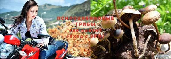 spice Балахна