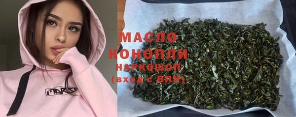 индика Инсар